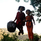 Iraq Is Flying - Jamal Penjweny (Iraq)